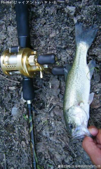 �֥�å��Х�