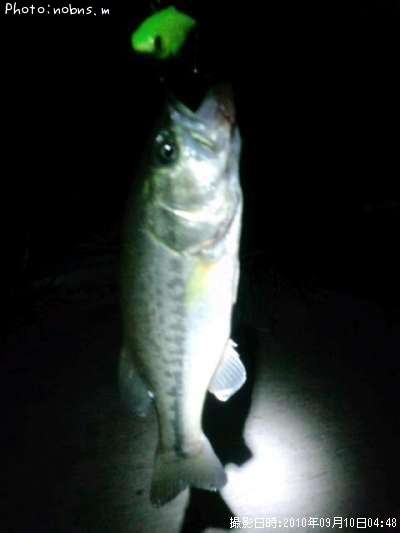 �֥�å��Х�