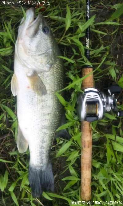 �֥�å��Х�