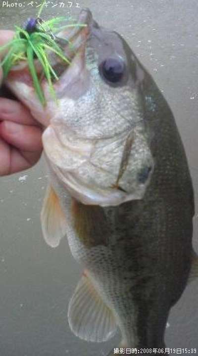 �֥�å��Х�