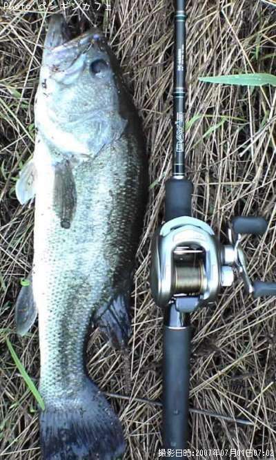 �֥�å��Х�