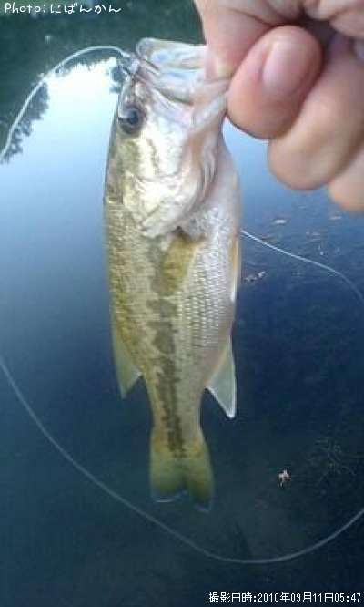 �֥�å��Х�