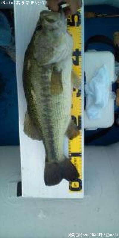 �֥�å��Х�