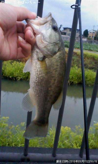 �֥�å��Х�