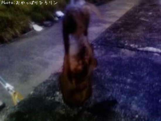 �����ꥤ��