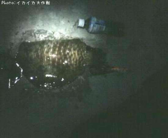 �����ꥤ��