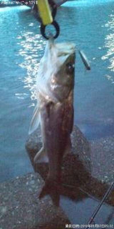 �����Х�