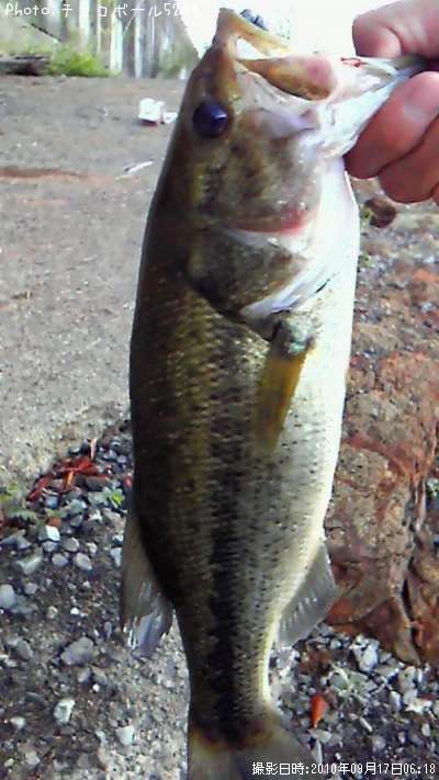 �֥�å��Х�