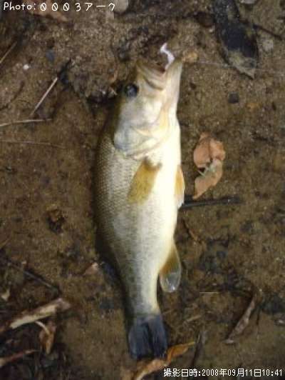 �֥�å��Х�