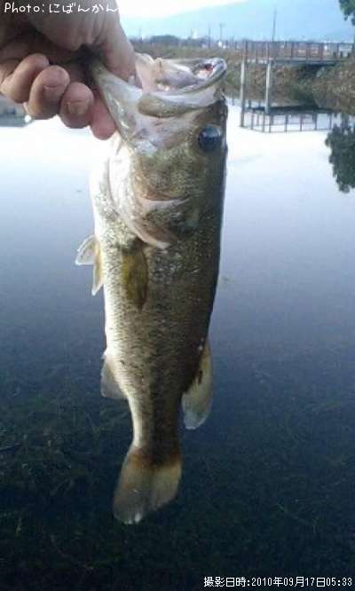 �֥�å��Х�