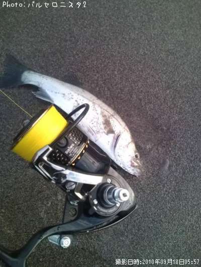 �����Х�