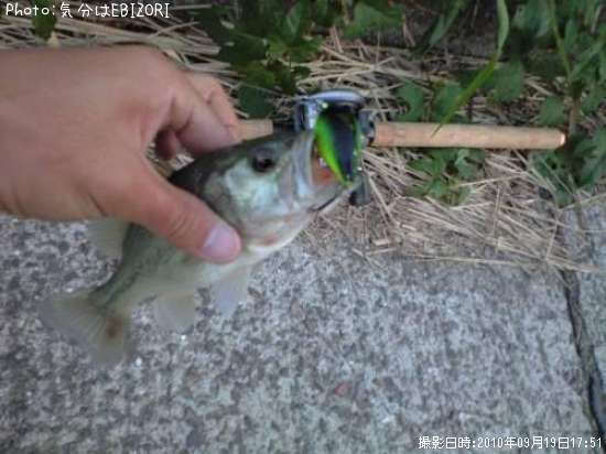 �֥�å��Х�