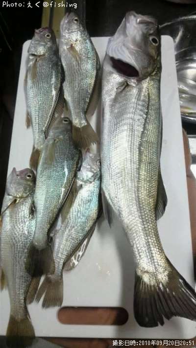 �����Х��ܥ������