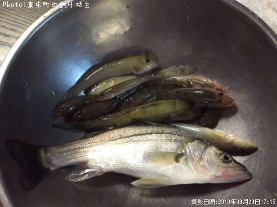 �ϥ���������