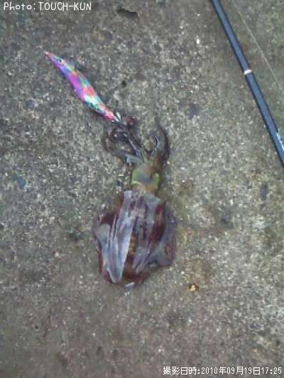 �����ꥤ��