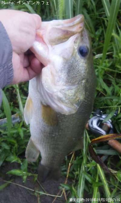 �֥�å��Х�