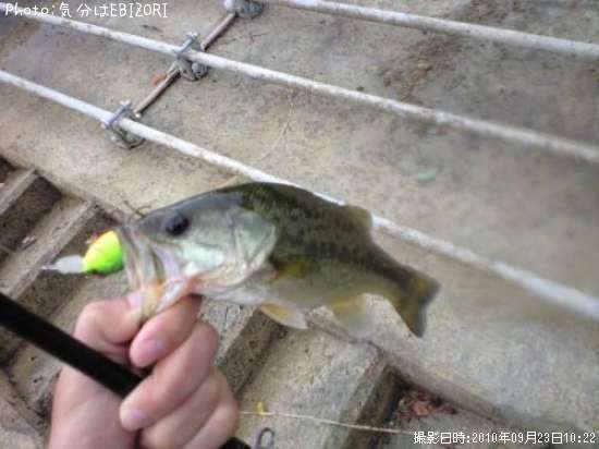 �֥�å��Х�