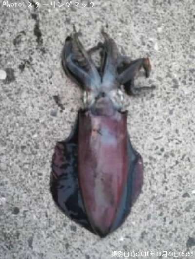 �����ꥤ��