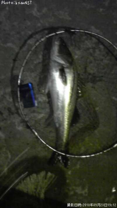 �����Х�