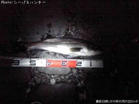 �����Х�