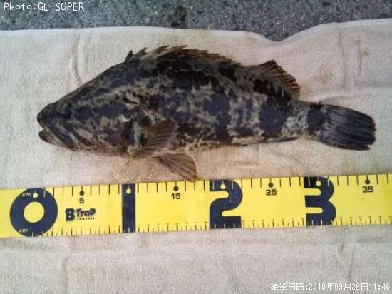 �����Υ���Х�