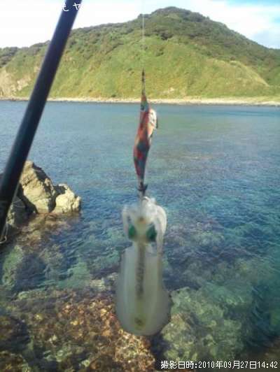 �����ꥤ��