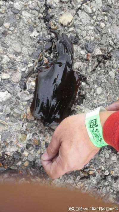 �����ꥤ��