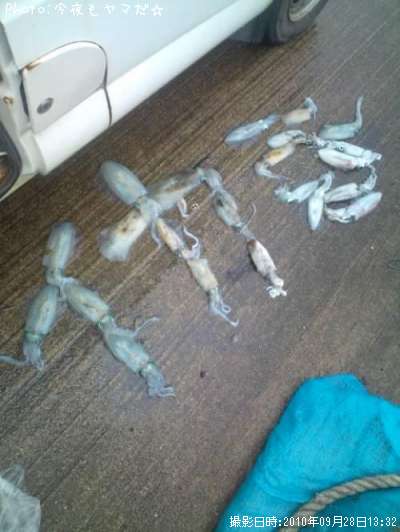 �����ꥤ��