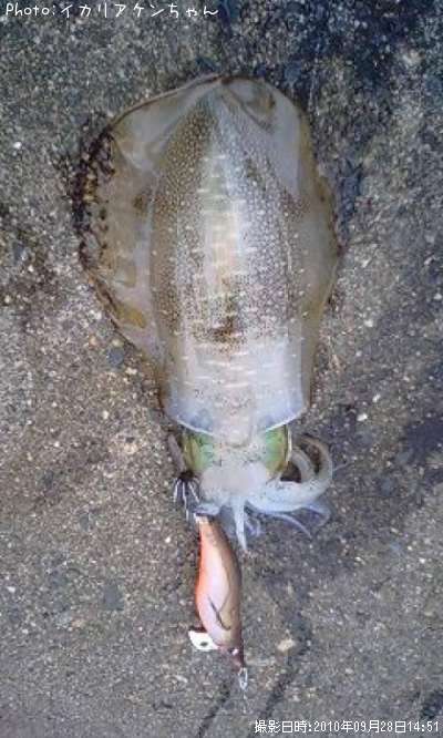 �����ꥤ��