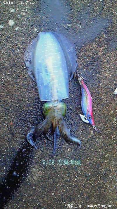 �����ꥤ��