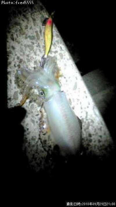 �����ꥤ��