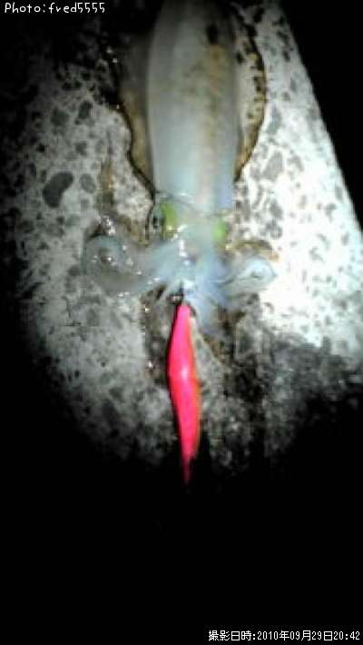 �����ꥤ��