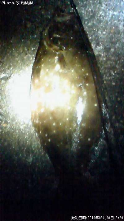 �ҥ��