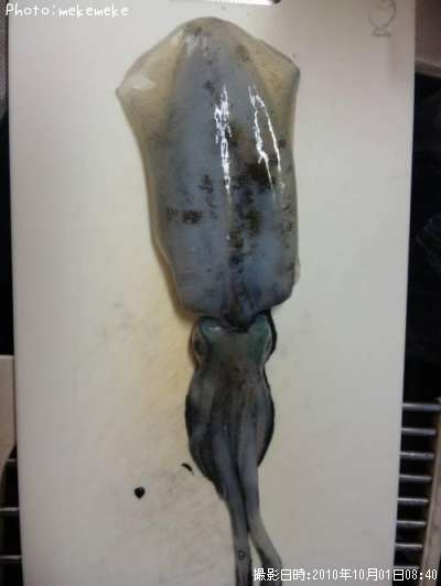 �����ꥤ��