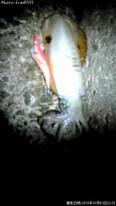 �����ꥤ��