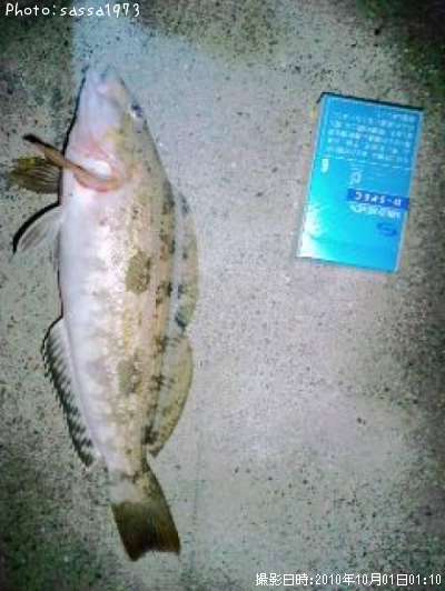 �����ʥ�