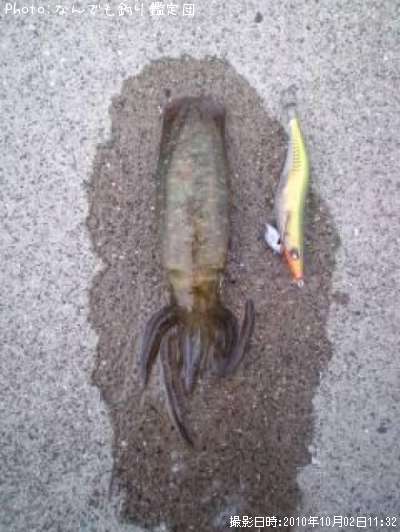 �����ꥤ��