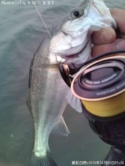 �����Х�