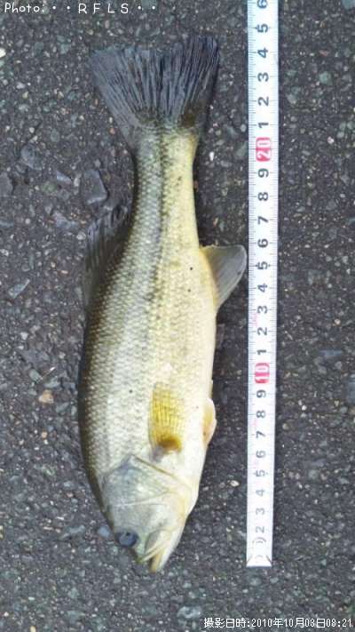 �֥�å��Х�