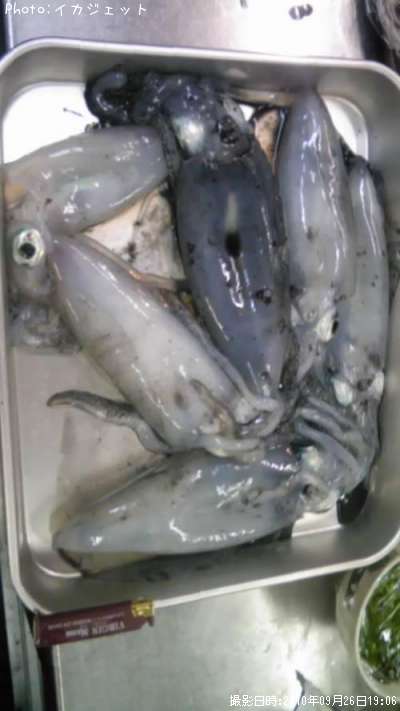 �����ꥤ��