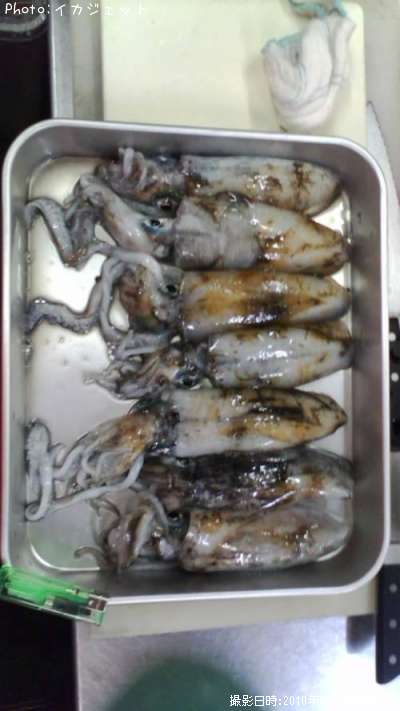 �����ꥤ��