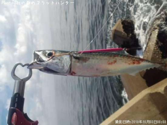 ���ޥ���