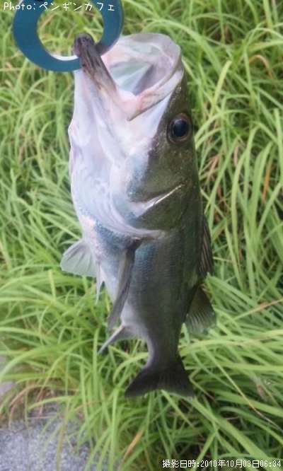 �����Х�