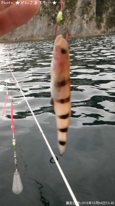 ��奦�����ϥ�