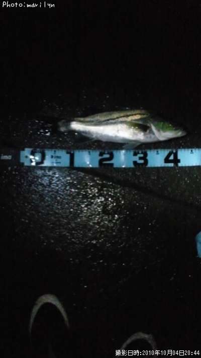 �����Х�