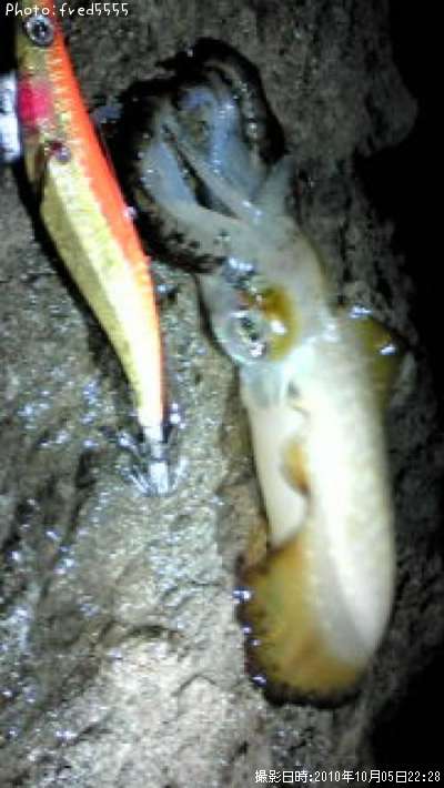 �����ꥤ��