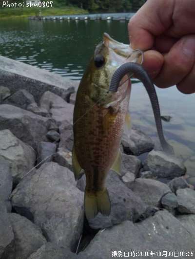 �֥�å��Х�