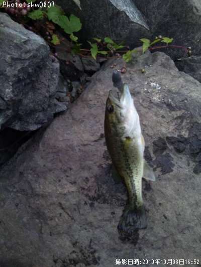 �֥�å��Х�