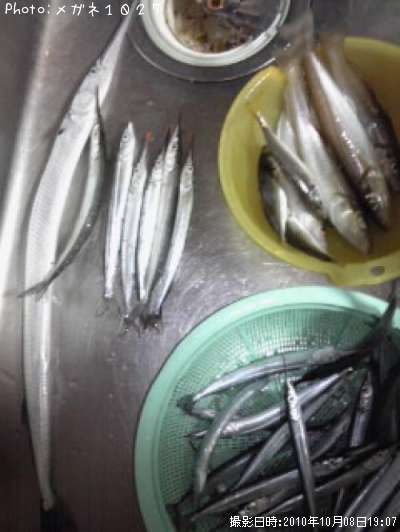 ����ꡢ����