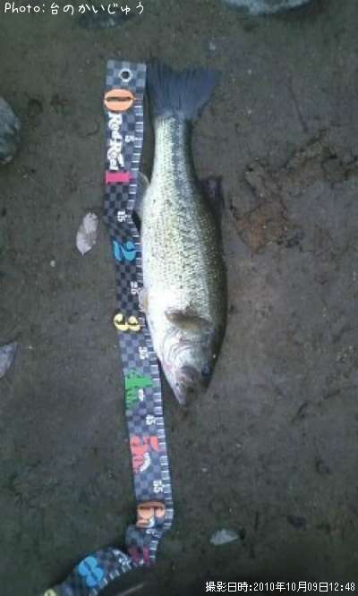 �֥�å��Х�